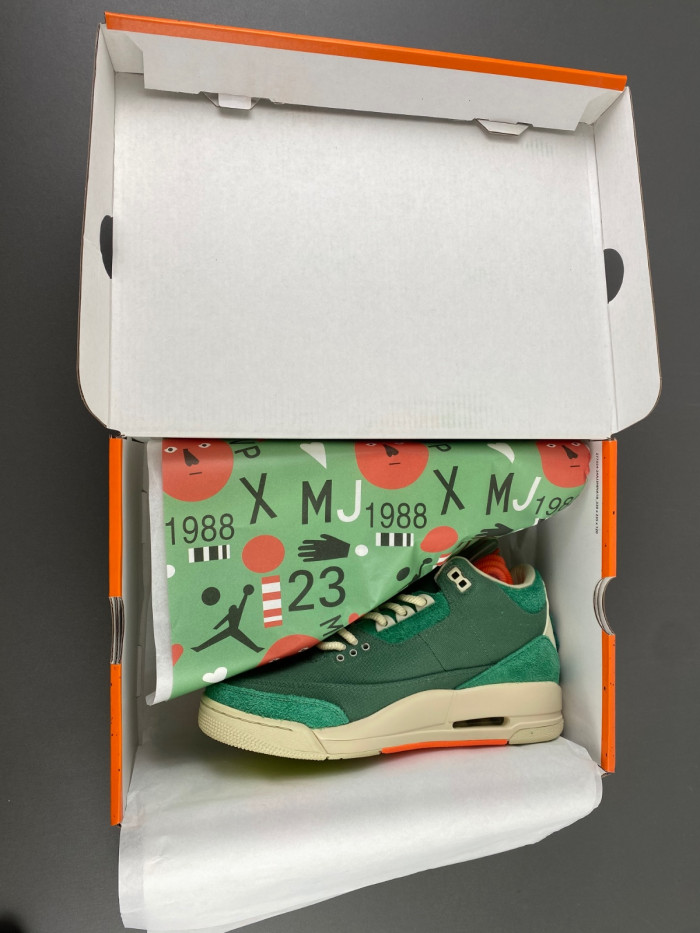 Air Jordan 3 OG SP Nina Chanel Abney WMNS FZ7974-300