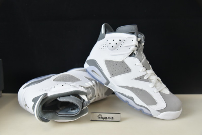 air jordan 6 "cool grey" ct8529-100